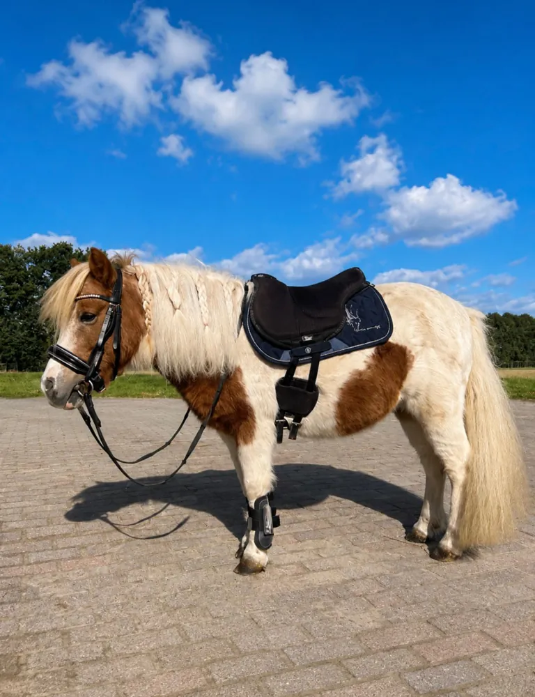 Nähe zwischen Kind und Pony