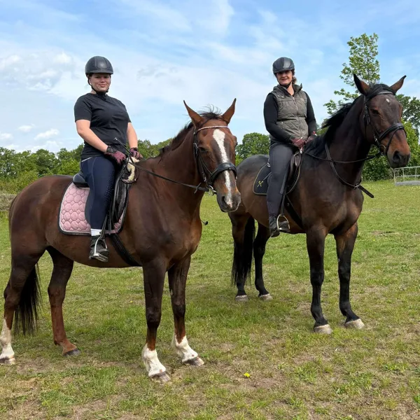 Instagram-Eindruck vom Pony Club Lila