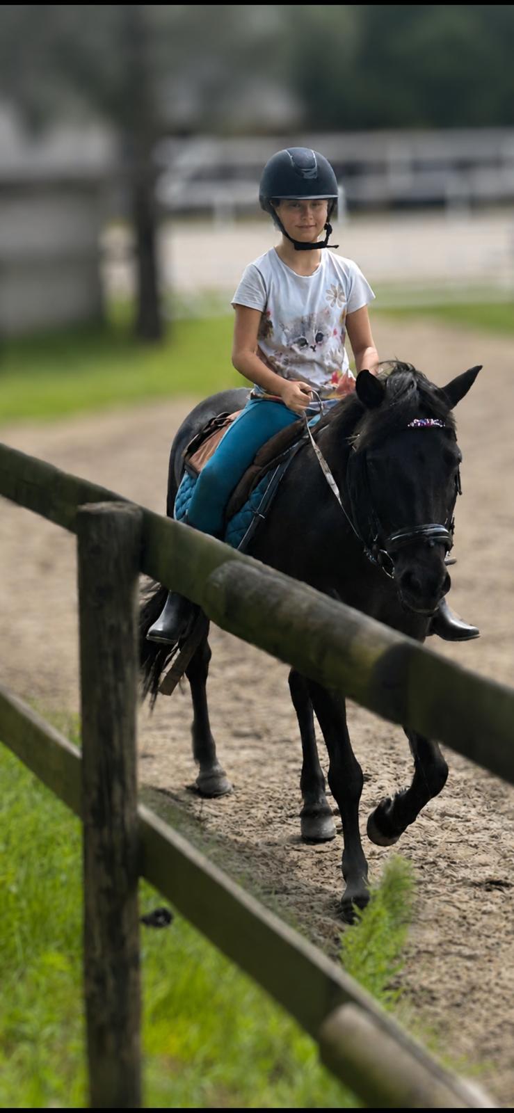 Kind reitet auf schwarzem Pony in der Reitbahn